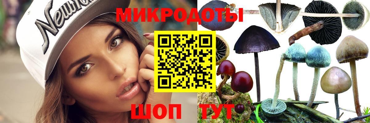 Галлюциногенные грибы Magic Shrooms Печора