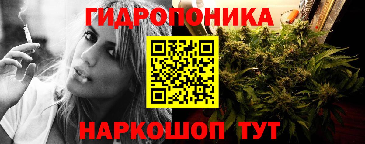 Марихуана семена  Вход с VPN  Печора  Бошки марихуана Ganja  Канабис сатива 